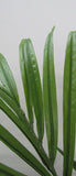 Kentia - Plantes Artificielles