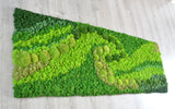 Panneau mural en lichen stabilisé vert clair