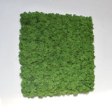 Nature green stabilized lichens wall panel