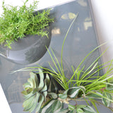 Pannello decorativo con piante - Vaso a parete in resina
