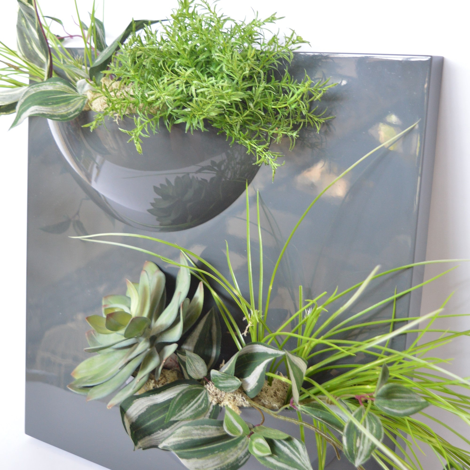 Pannello decorativo con piante - Vaso a parete in resina – ELGREN