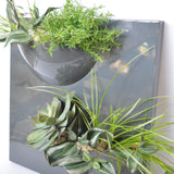 Pannello decorativo con piante - Vaso a parete in resina