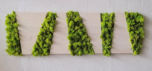 White panel 4 Square cuts in stabilized wood and lichens