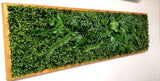 Quadro vegetale maxi per interni