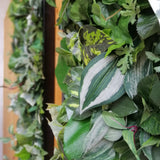 Plant painting for interiors - black frame