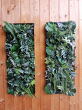 Plant painting for interiors - black frame