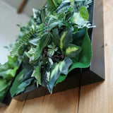 Plant painting for interiors - black frame