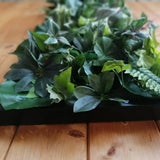 Plant painting for interiors - black frame