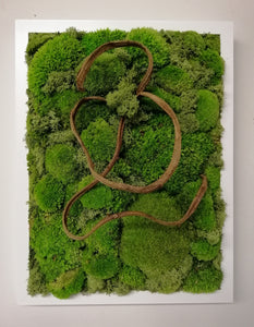 Natural stabilized moss picture with liana in white frame