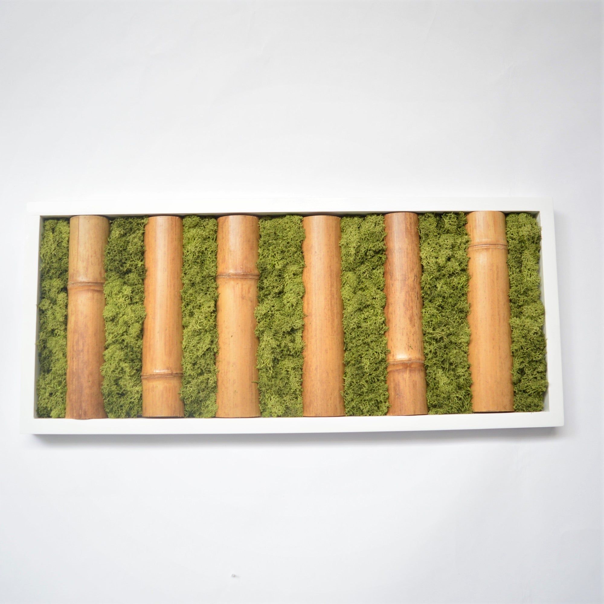 Quadro con bambù e licheni in cornice bianca