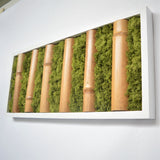 Picture with bamboo and lichens in a white frame