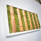 Cadre avec bambou et lichen dans un cadre blanc